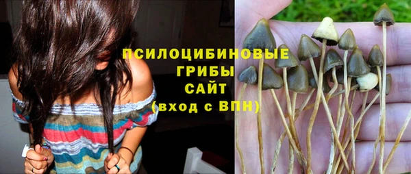 прущая мука Алзамай